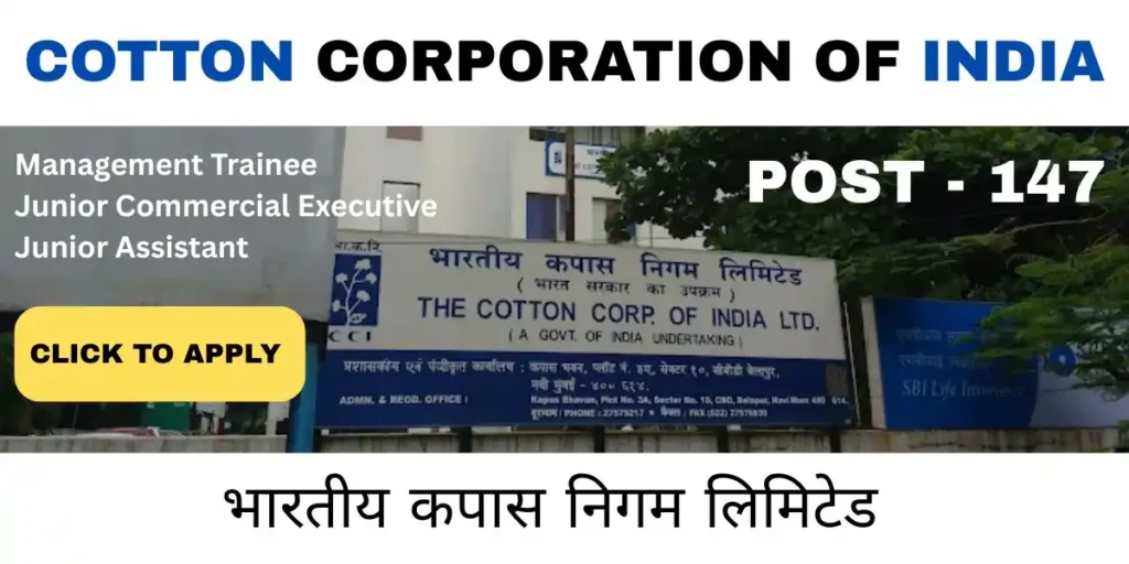 cci vacancy 2025