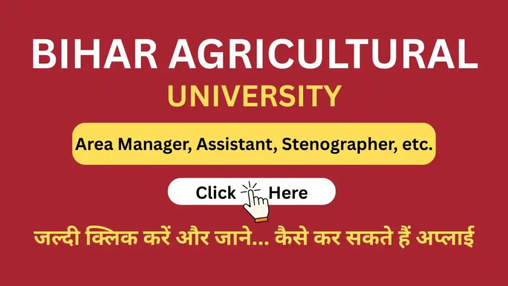 bau various vacancy 2025