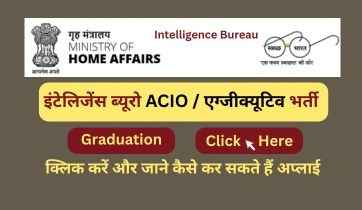 intelligence bureau acio ib executive vacancy 2025